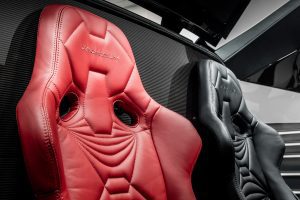 vanda_dendrobium_seat